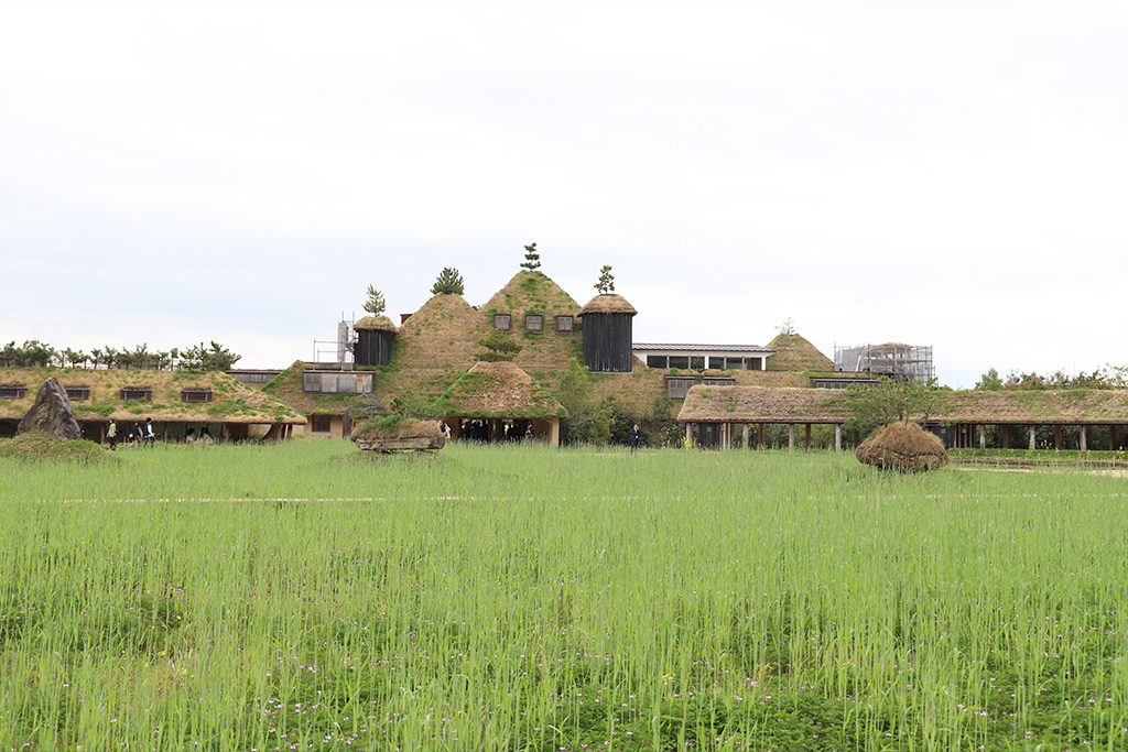 滋賀県近江八幡市クラブハリエ・ラコリーナ